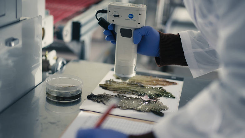 1773729407307685.png 图:海藻研究中心.png